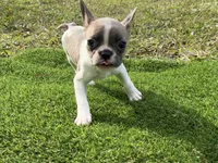 processed/f3146f7c-b3a4-45b1-9b7d-1f18c023ee2d/listing/ccf0ea98-9231-40a8-b467-2a2dc358a4f6/2a80d4bc-480e-41e3-ad8e-747136ef2079