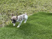 processed/f3146f7c-b3a4-45b1-9b7d-1f18c023ee2d/listing/ccf0ea98-9231-40a8-b467-2a2dc358a4f6/9b199c32-e6a6-4ab6-af14-93adbc77c4de