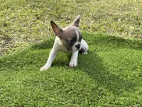 processed/f3146f7c-b3a4-45b1-9b7d-1f18c023ee2d/listing/ccf0ea98-9231-40a8-b467-2a2dc358a4f6/b218c75a-9928-4da0-8745-4c004c2e3497