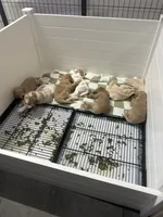 Facility photo