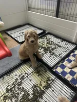Facility photo