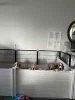 Facility photo