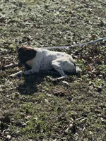 processed/f3162a28-9b78-4e2c-a480-208d339d58e0/listing/2aa14a1b-1b13-488a-aca7-1ad268f8db4f/30a0d917-7837-471d-8b47-ff405450e560