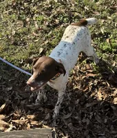 processed/f3162a28-9b78-4e2c-a480-208d339d58e0/listing/2aa14a1b-1b13-488a-aca7-1ad268f8db4f/66128e3c-a730-4b3a-9115-56136b9ccddc