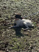 processed/f3162a28-9b78-4e2c-a480-208d339d58e0/listing/2aa14a1b-1b13-488a-aca7-1ad268f8db4f/b7e6ebb6-5e10-4298-9987-921df6eeff62