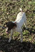 processed/f3162a28-9b78-4e2c-a480-208d339d58e0/listing/2aa14a1b-1b13-488a-aca7-1ad268f8db4f/fcfede84-1531-4f57-aa23-96a588a1c8ba