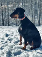 processed/f320d44f-46cd-44cc-bbbb-e925925a10df/listing/05fd4b28-c53c-4071-a5f6-819e3a682c89/076befc4-fe32-4947-9586-07287fc55c5b