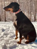 processed/f320d44f-46cd-44cc-bbbb-e925925a10df/listing/05fd4b28-c53c-4071-a5f6-819e3a682c89/0ed34bbb-6eea-412d-aea3-06337a9def31