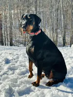 processed/f320d44f-46cd-44cc-bbbb-e925925a10df/listing/05fd4b28-c53c-4071-a5f6-819e3a682c89/174fe543-fb89-4244-9e29-f22732208476