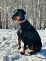 processed/f320d44f-46cd-44cc-bbbb-e925925a10df/listing/05fd4b28-c53c-4071-a5f6-819e3a682c89/4ace8d34-700a-4015-81db-0c2c5a08ff17