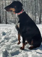 processed/f320d44f-46cd-44cc-bbbb-e925925a10df/listing/05fd4b28-c53c-4071-a5f6-819e3a682c89/4c9f5bd4-e887-4816-b70d-c8d81e1fb852