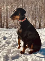 processed/f320d44f-46cd-44cc-bbbb-e925925a10df/listing/05fd4b28-c53c-4071-a5f6-819e3a682c89/d4e2095b-fb22-4c14-99b2-c8faff1a0465