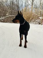 processed/f320d44f-46cd-44cc-bbbb-e925925a10df/listing/663e2b03-f5a2-46ad-9fc3-1b806ab07491/1043e0bd-ad76-450c-9bdf-6db756c3c084