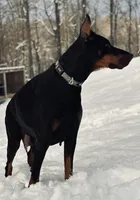 processed/f320d44f-46cd-44cc-bbbb-e925925a10df/listing/663e2b03-f5a2-46ad-9fc3-1b806ab07491/6816e467-9b61-46b5-b56b-874abc14f77d