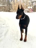 processed/f320d44f-46cd-44cc-bbbb-e925925a10df/listing/663e2b03-f5a2-46ad-9fc3-1b806ab07491/c1c01e7c-905b-48b0-b02d-f736cbaa2a1c