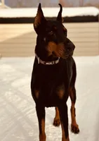 processed/f320d44f-46cd-44cc-bbbb-e925925a10df/listing/663e2b03-f5a2-46ad-9fc3-1b806ab07491/e5844d66-ea4b-4a72-a70b-6b88b109a6d5