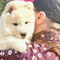 processed/f32409bc-4e3e-4f31-860a-2b4f80e1d1ff/listing/68584c08-aa2d-460f-9ad2-5eff06309566/f0f2946e-e30d-485e-93e5-50adff6ddf18