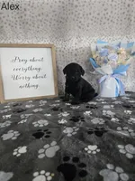 processed/f32dea4f-53c3-49df-a0a8-bd8d7b0fcff9/listing/4caf0c75-a99f-4946-ae33-b598405cc6ac/2c9b7d5e-b337-4f31-8044-68d03e9fca92