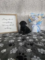 processed/f32dea4f-53c3-49df-a0a8-bd8d7b0fcff9/listing/4caf0c75-a99f-4946-ae33-b598405cc6ac/969cb035-f5ba-4c01-95af-4d0c343d6724