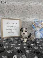 processed/f32dea4f-53c3-49df-a0a8-bd8d7b0fcff9/listing/60b49f69-b4dd-41f1-b9e7-d188d7e5257b/3567cb87-db09-43b3-8730-462a4e4d0b1d