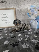 processed/f32dea4f-53c3-49df-a0a8-bd8d7b0fcff9/listing/bd1913f7-a6b2-4cd2-81fe-74ca66196f53/8f2b7f80-8ea0-4ef2-beb4-56ed47e8d8ca