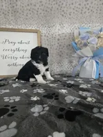 processed/f32dea4f-53c3-49df-a0a8-bd8d7b0fcff9/listing/c641194f-c4cc-45e2-8df8-2f9123fcdec2/d263e1e6-0184-4c02-9a65-6d86b2812fd5