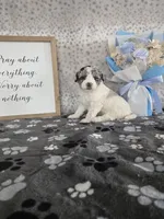 processed/f32dea4f-53c3-49df-a0a8-bd8d7b0fcff9/listing/c8e6542a-710f-4cd8-878f-41661092dac4/05b6f979-a5c2-456b-8ccd-2b5fab013f22