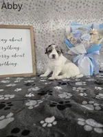 processed/f32dea4f-53c3-49df-a0a8-bd8d7b0fcff9/listing/c8e6542a-710f-4cd8-878f-41661092dac4/8440cd42-345c-4f18-b56d-09e081aafac7