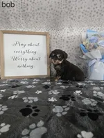 processed/f32dea4f-53c3-49df-a0a8-bd8d7b0fcff9/listing/cdb7a90b-08f8-478f-815c-538f4e2f7771/450fc770-c8ea-4675-bf61-df9f6c9b75db