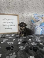 processed/f32dea4f-53c3-49df-a0a8-bd8d7b0fcff9/listing/cdb7a90b-08f8-478f-815c-538f4e2f7771/fd4a00f6-8b55-4002-9349-2a3cbe4026b6