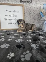 processed/f32dea4f-53c3-49df-a0a8-bd8d7b0fcff9/listing/d5b3d217-7915-4129-bbaf-9b53fbf5f681/1b36c989-84bd-4f1d-939e-104a034ce7ea