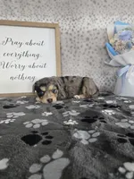 processed/f32dea4f-53c3-49df-a0a8-bd8d7b0fcff9/listing/d5b3d217-7915-4129-bbaf-9b53fbf5f681/1e2f8255-4ced-42df-ba74-9f1dabc052fd