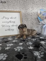 processed/f32dea4f-53c3-49df-a0a8-bd8d7b0fcff9/listing/fa31f558-60b3-4d7a-af84-bfa34303d867/69275df1-3dff-4c0e-95d0-1bde5e47acde