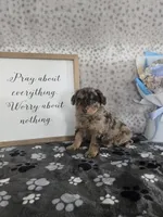 processed/f32dea4f-53c3-49df-a0a8-bd8d7b0fcff9/listing/fa31f558-60b3-4d7a-af84-bfa34303d867/a24214ce-f9e6-4264-a14a-b9e9b09b8973