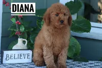 processed/f3314417-0a07-40a6-ba0c-4eb10e4ac39d/listing/7ac6ff90-9f7a-45dc-9875-18cb8b69f19c/25ea5d76-58d5-4515-a4a9-a1004678059c