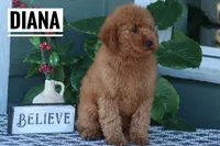 processed/f3314417-0a07-40a6-ba0c-4eb10e4ac39d/listing/7ac6ff90-9f7a-45dc-9875-18cb8b69f19c/9c56078d-5df2-4c93-a316-381e626110ca