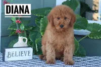 processed/f3314417-0a07-40a6-ba0c-4eb10e4ac39d/listing/7ac6ff90-9f7a-45dc-9875-18cb8b69f19c/f0c4b95e-748d-4aa0-bdad-01e145acc905