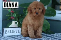 processed/f3314417-0a07-40a6-ba0c-4eb10e4ac39d/listing/7ac6ff90-9f7a-45dc-9875-18cb8b69f19c/fb6cb0a0-c6f6-45dc-9413-b3fc094870fe