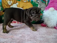 processed/f3395592-b3ed-4d96-927b-441458aecc6c/listing/056594f6-e527-4eb6-bcd1-a4ae6c9f5aff/7dd6b87f-d7be-4cd2-8307-669419a57ec1