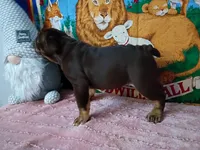 processed/f3395592-b3ed-4d96-927b-441458aecc6c/listing/056594f6-e527-4eb6-bcd1-a4ae6c9f5aff/a07b01c5-34ec-4d9b-b0f2-2cb4db542bae