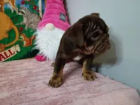 processed/f3395592-b3ed-4d96-927b-441458aecc6c/listing/056594f6-e527-4eb6-bcd1-a4ae6c9f5aff/ee2dae05-41e2-4e8a-bb1a-2d858318b561