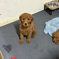 processed/f34a5b28-040f-404f-8f8f-5f081e846abb/facility/228124e3-269a-4c3a-947f-7ea3c9fa4d10