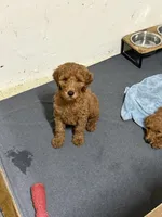 processed/f34a5b28-040f-404f-8f8f-5f081e846abb/facility/228124e3-269a-4c3a-947f-7ea3c9fa4d10