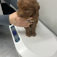 processed/f34a5b28-040f-404f-8f8f-5f081e846abb/facility/238fb734-fbb1-496a-8e39-182170ef7ce3