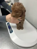 processed/f34a5b28-040f-404f-8f8f-5f081e846abb/facility/238fb734-fbb1-496a-8e39-182170ef7ce3