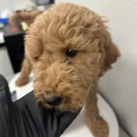 processed/f34a5b28-040f-404f-8f8f-5f081e846abb/facility/44244d04-fd4e-42aa-872c-abda55205456