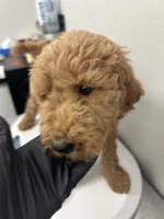 processed/f34a5b28-040f-404f-8f8f-5f081e846abb/facility/44244d04-fd4e-42aa-872c-abda55205456