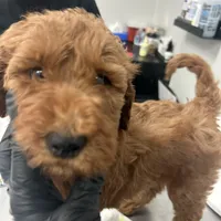 processed/f34a5b28-040f-404f-8f8f-5f081e846abb/facility/d6d17fc0-31d0-4395-9624-df1201bb70e8