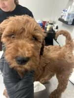 processed/f34a5b28-040f-404f-8f8f-5f081e846abb/facility/d6d17fc0-31d0-4395-9624-df1201bb70e8