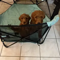 processed/f34a5b28-040f-404f-8f8f-5f081e846abb/facility/ed778ffb-97d0-4d0a-a45b-cfc8bbf727d3